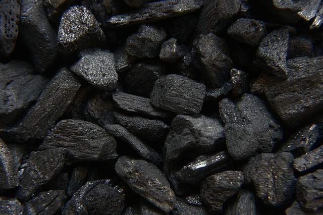 choosing a charcoal grill